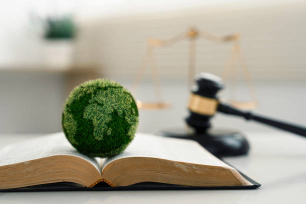 environmental law firm